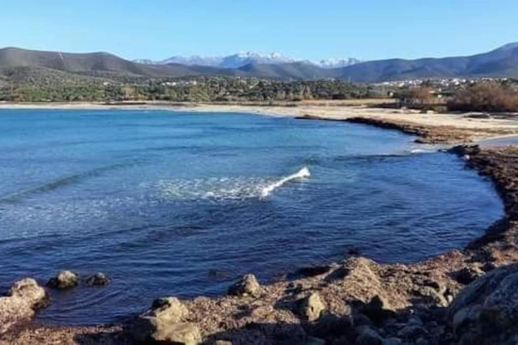 Charmant Petit Logement A 3 Kms De La Plage Бельгодер Экстерьер фото